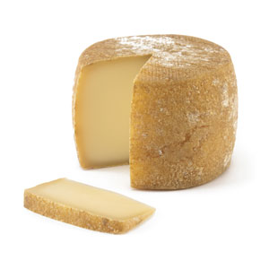 Manchego / Spanish